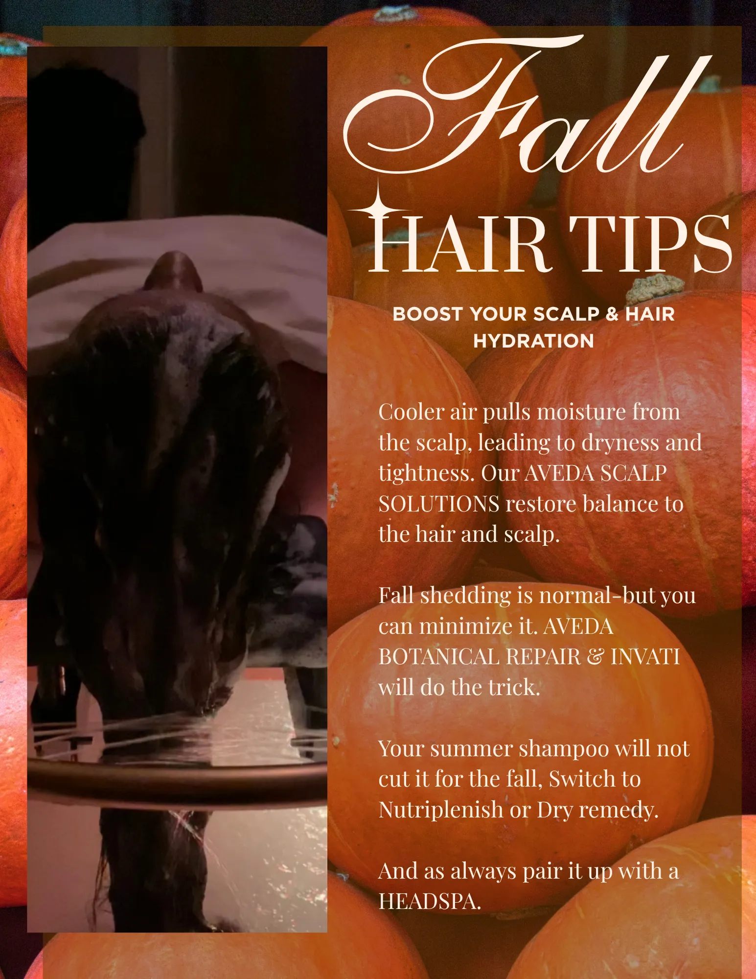 did you know valentine promotion